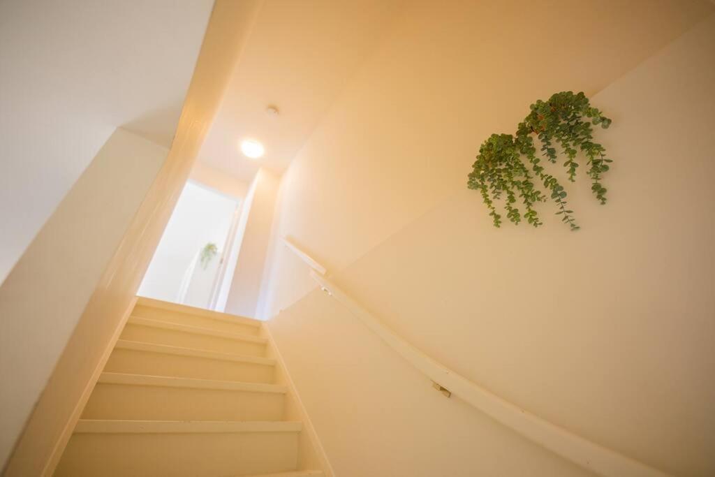 Lovely 3 Bedroom Apartment In Eindhoven 65M2 - Sd23N Zewnętrze zdjęcie
